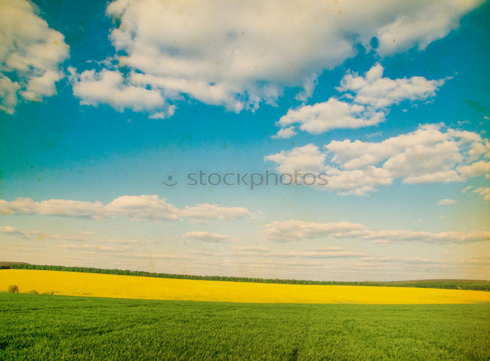 Similar – Image, Stock Photo Early rape Energy industry