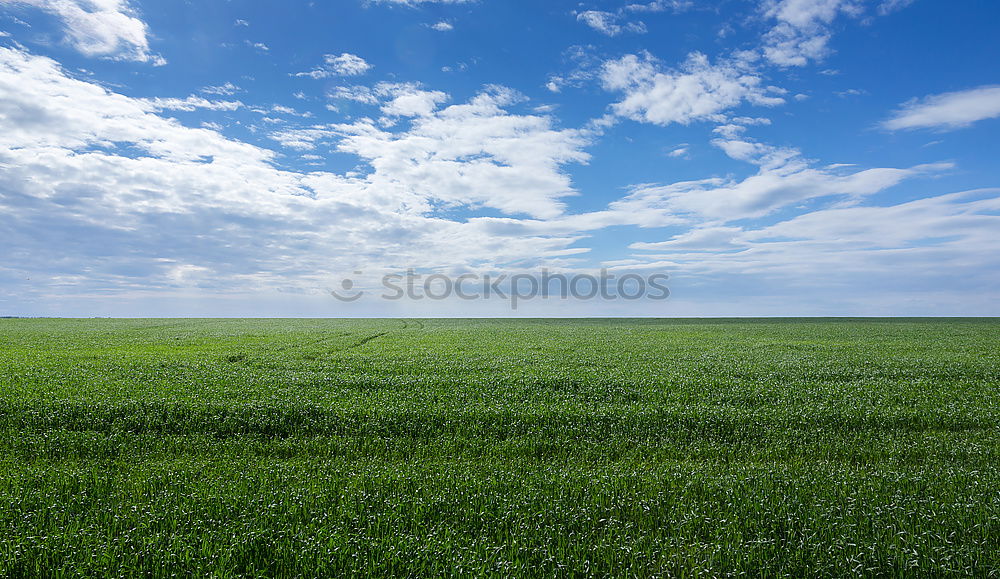 Similar – Image, Stock Photo heaven on earth Meadow