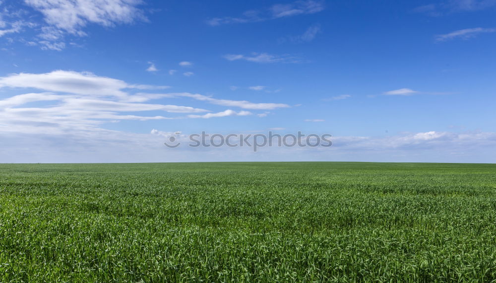 Similar – Image, Stock Photo heaven on earth Meadow