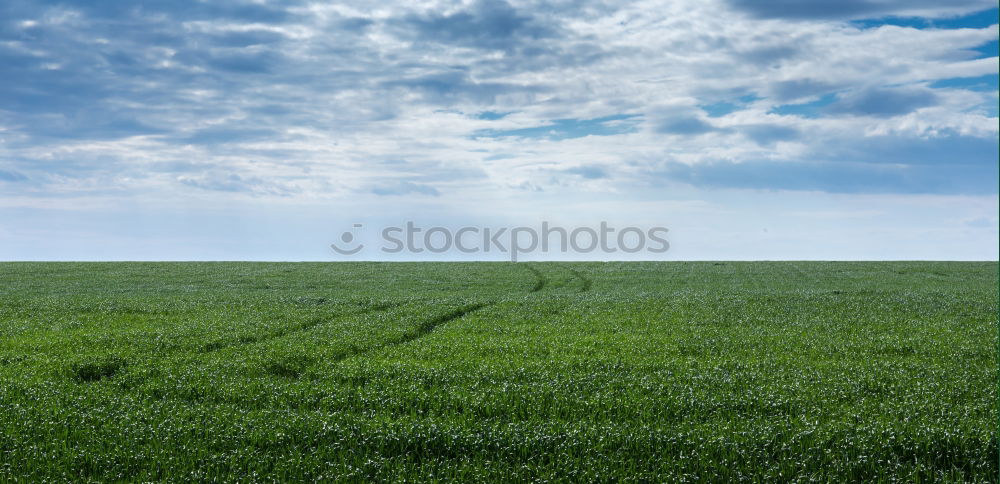 Image, Stock Photo blue work Electricity