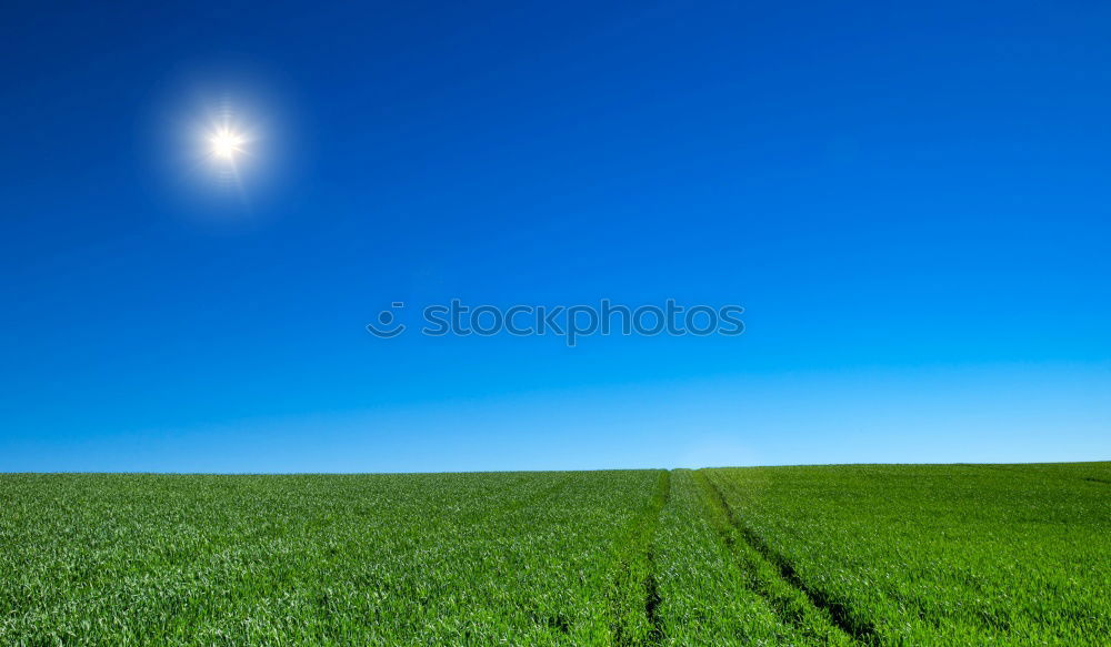 Similar – Kaiserstuhl Nature