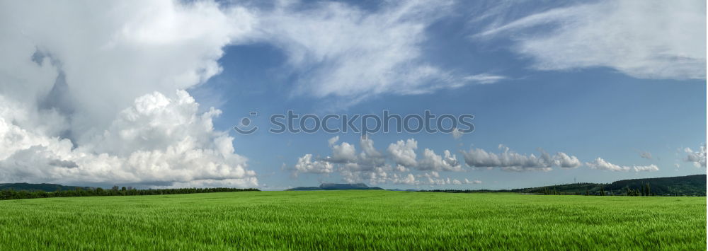 Foto Bild natur panorama