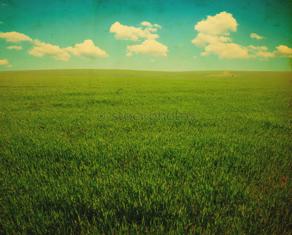 Similar – Image, Stock Photo loner Nature Landscape Sky