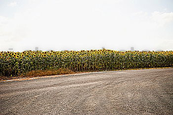 Similar – park Parking Horizon