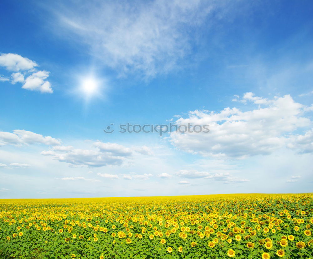 Image, Stock Photo #Spring Vacation & Travel