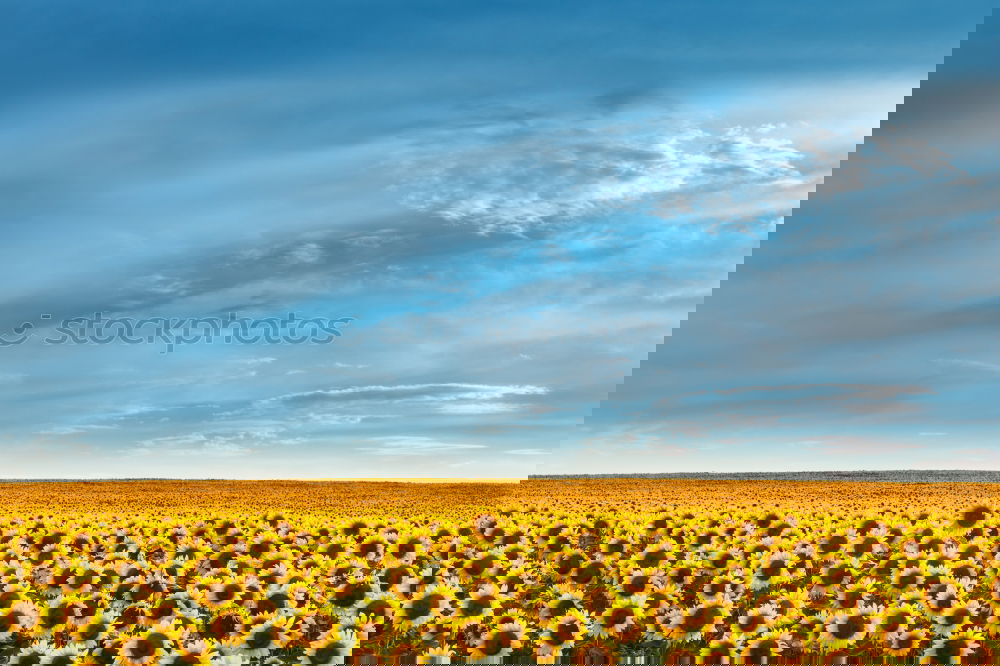 Similar – Image, Stock Photo #Spring Vacation & Travel
