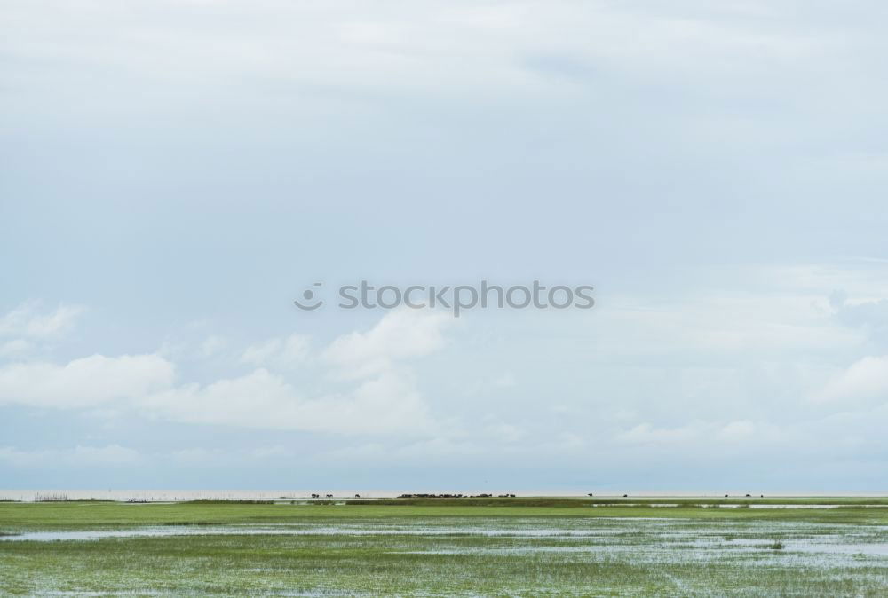 Similar – Image, Stock Photo Beach II Summer Wet