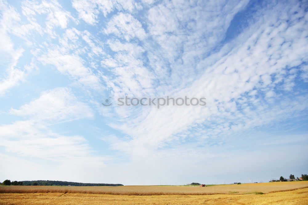 Foto Bild Hiddensee | Flaches Land