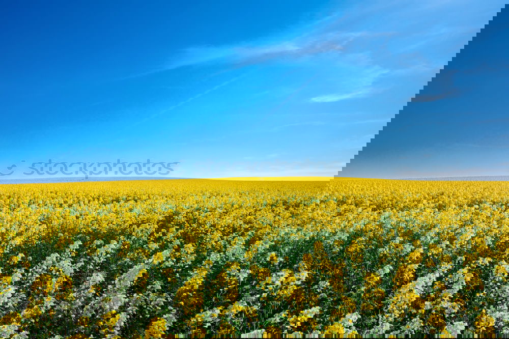 Similar – Image, Stock Photo R