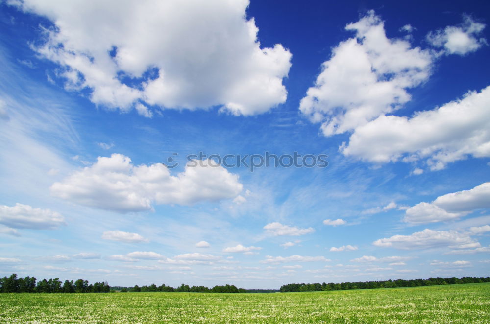 Similar – summer air Man Maize field