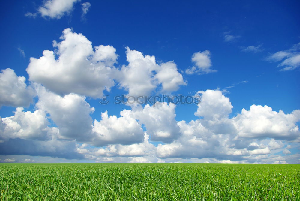 Similar – summer air Man Maize field