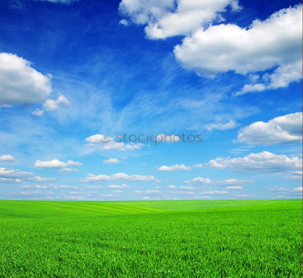 Similar – summer air Man Maize field