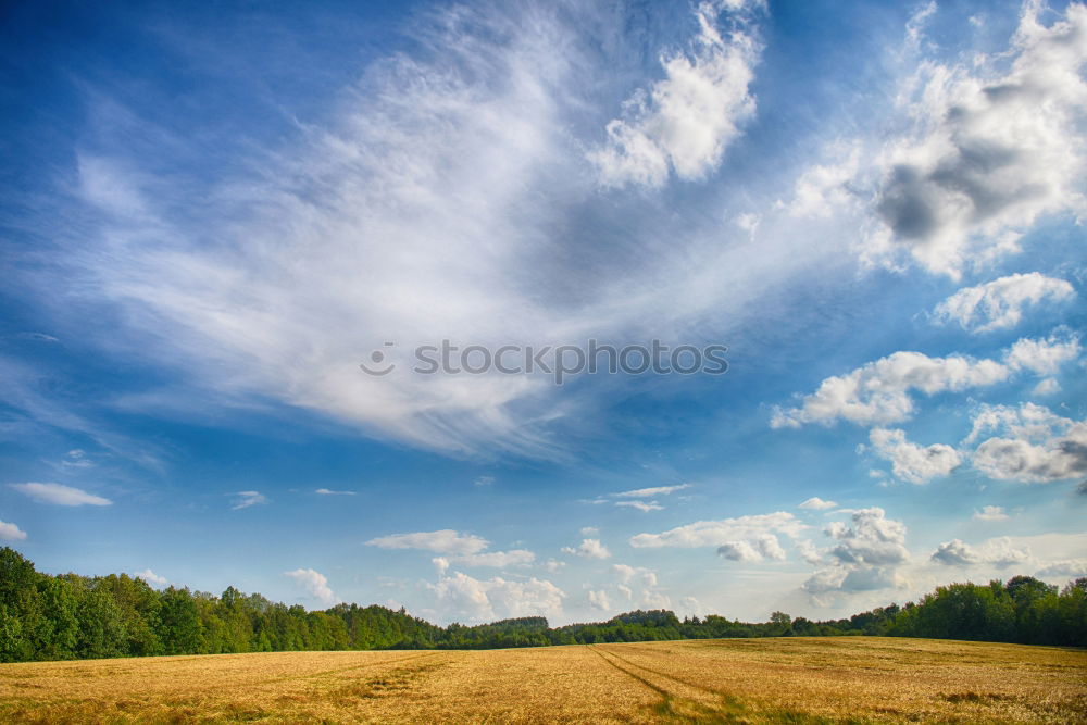 Similar – Landscape with a ripening hop plants in a sunny day