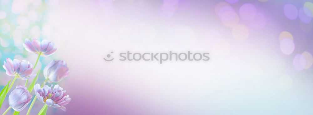 Similar – Image, Stock Photo gone she is Environment