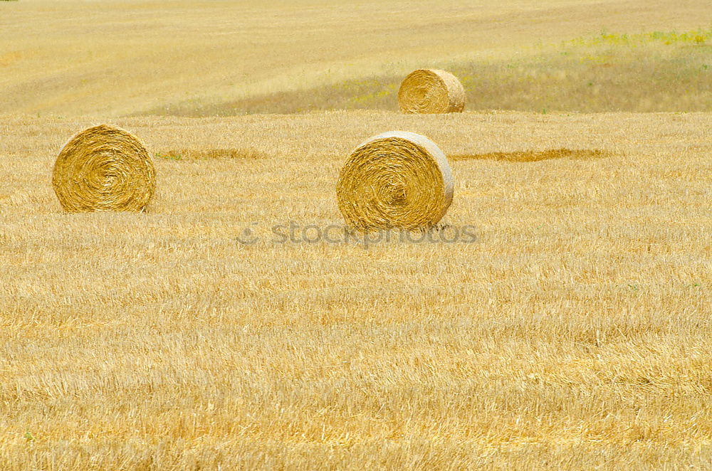 Similar – Strohballen Feld