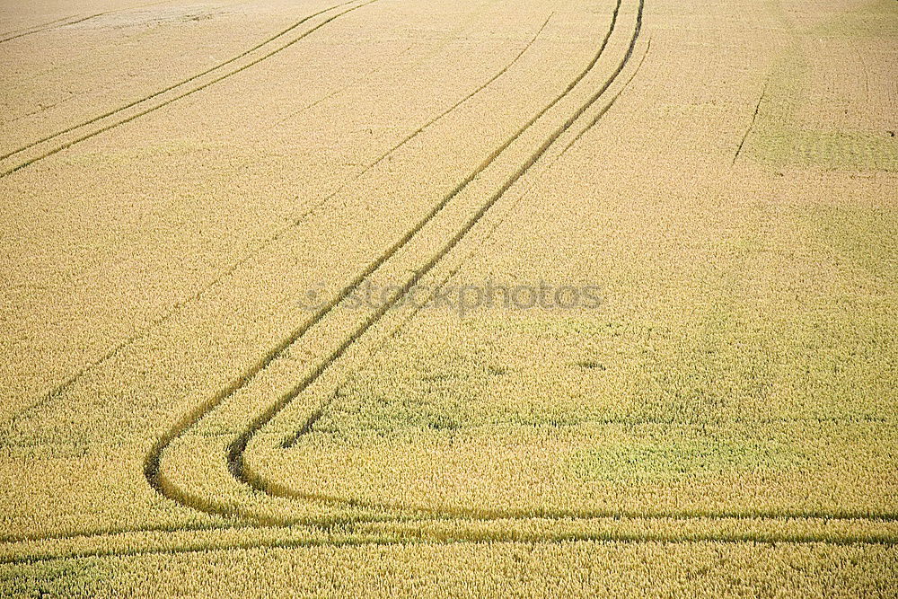 Similar – Tracks on the beach in Portugal III