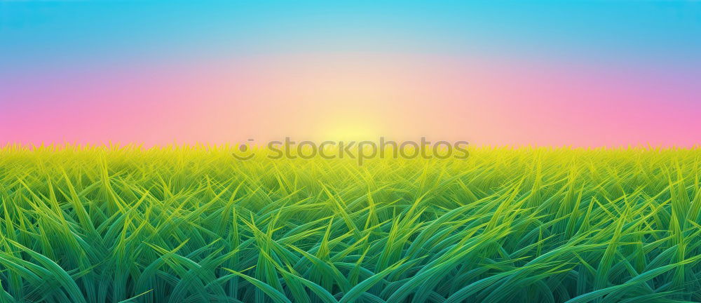 Similar – Foto Bild LochbildLissabon03