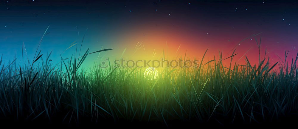 Similar – Image, Stock Photo dancing in the dusk Nature