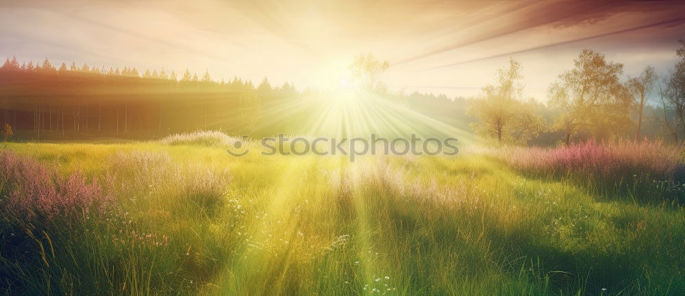 haystack in mountain rural area