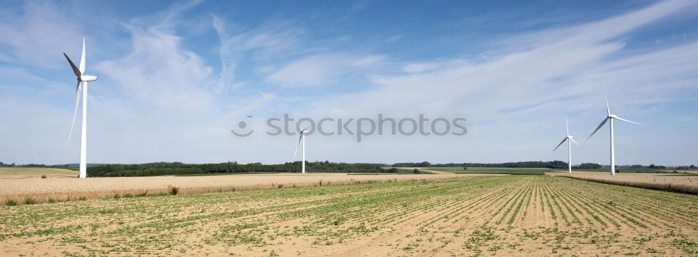 Image, Stock Photo Low Radiation Alternative II