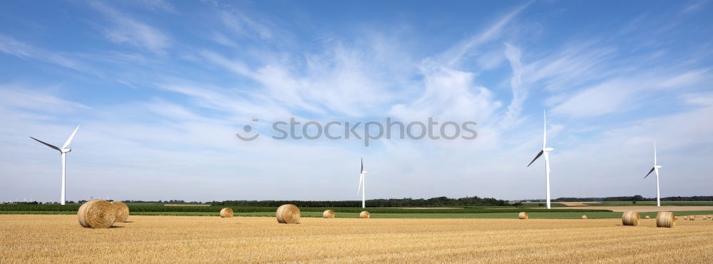 Similar – Image, Stock Photo BLUE LONELINESS