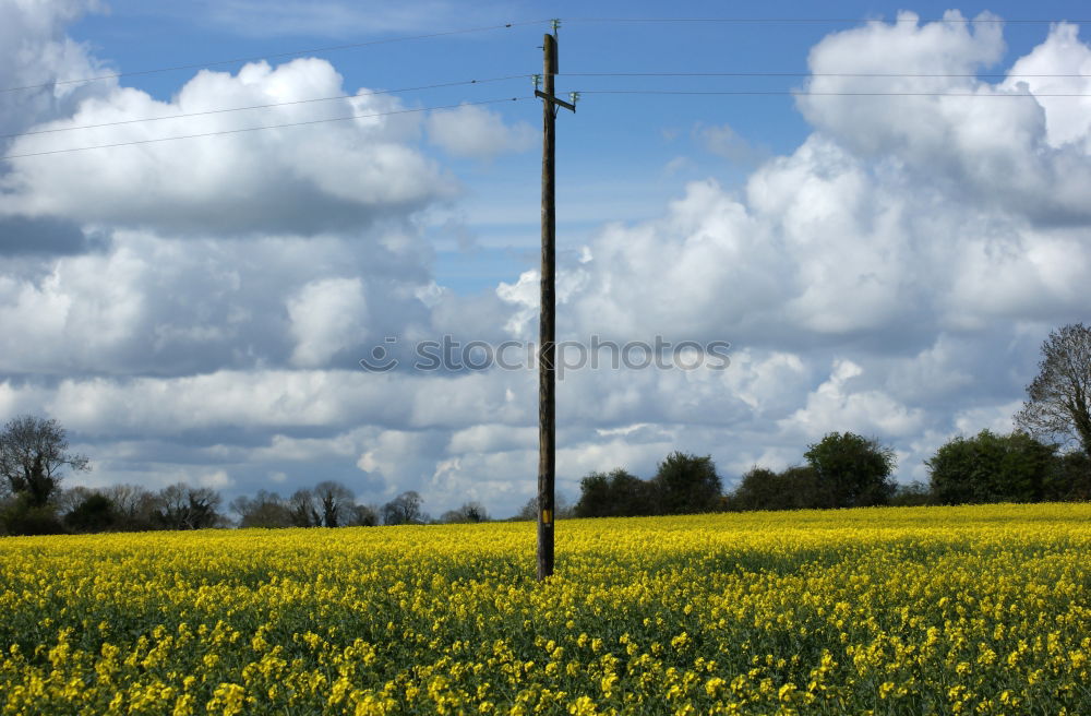 Similar – summer Agriculture