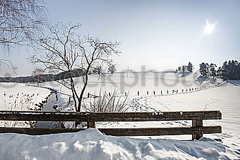 Similar – Image, Stock Photo On the piste Mountain