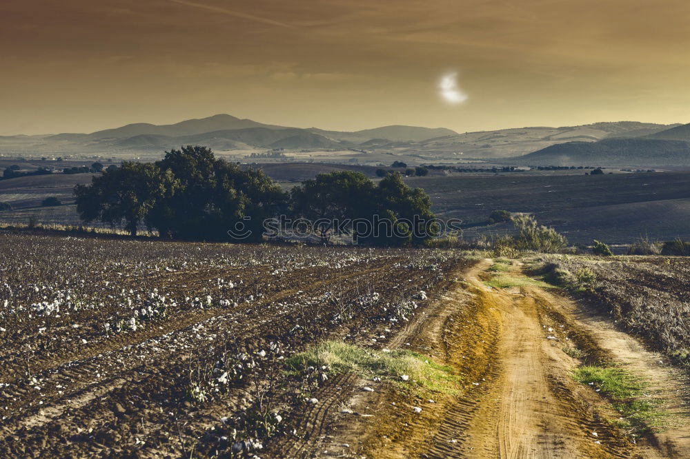 Similar – Fields and buildings in the mist at sunset.