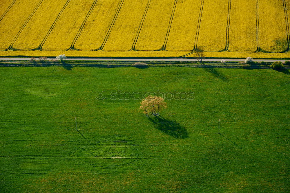 Similar – Image, Stock Photo Miniature World #4