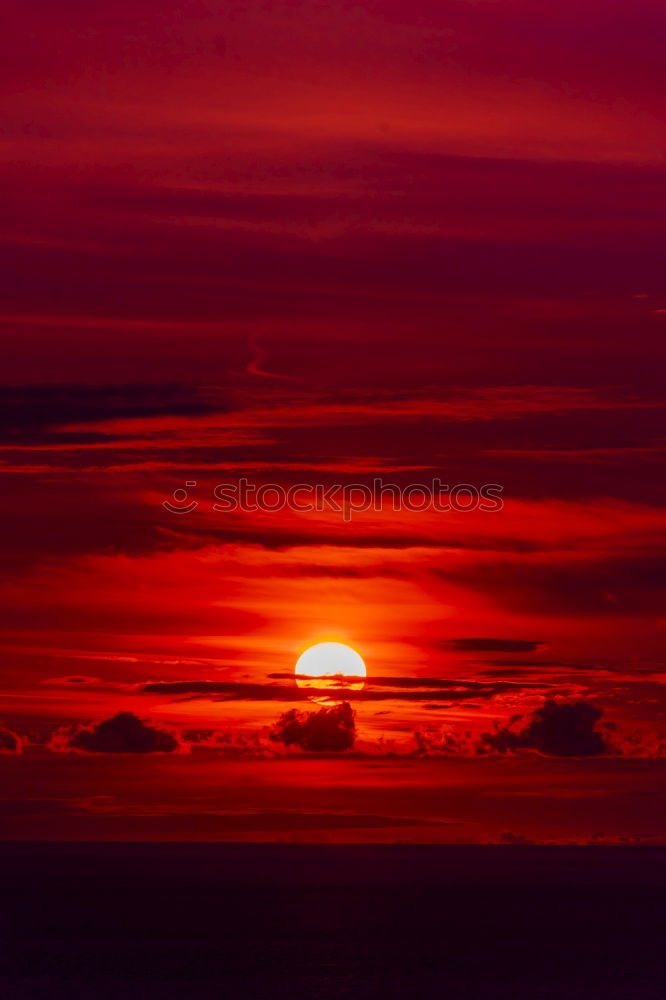 Similar – Image, Stock Photo blazing sun Nature