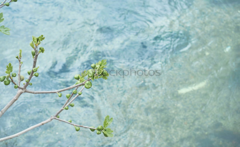 Similar – Image, Stock Photo ship reflection Water