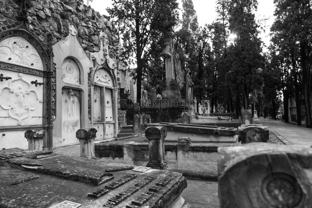 Similar – An old quiet graveyard in Macao, China