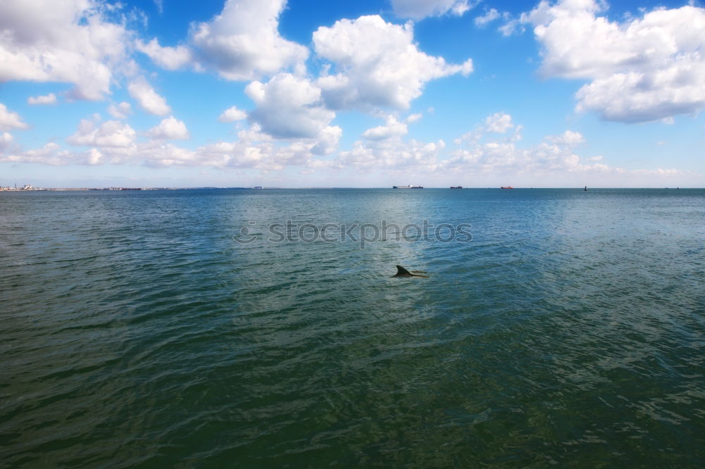 Similar – Lönstrup Lake Ocean