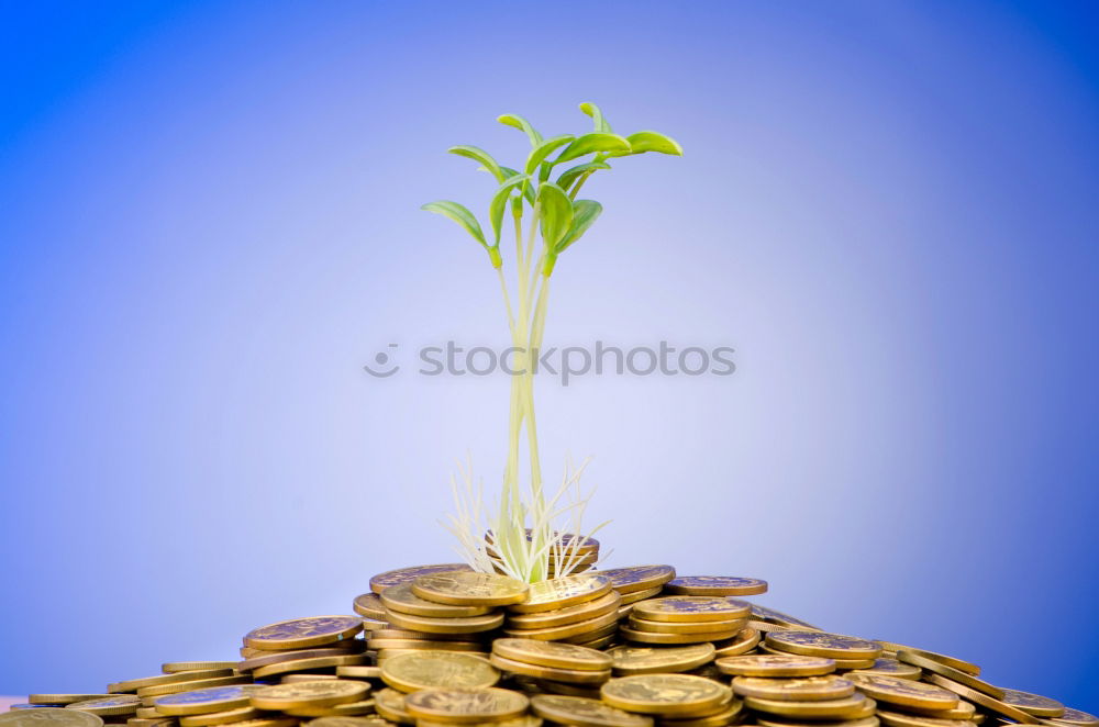 Similar – Image, Stock Photo Finances under control Art