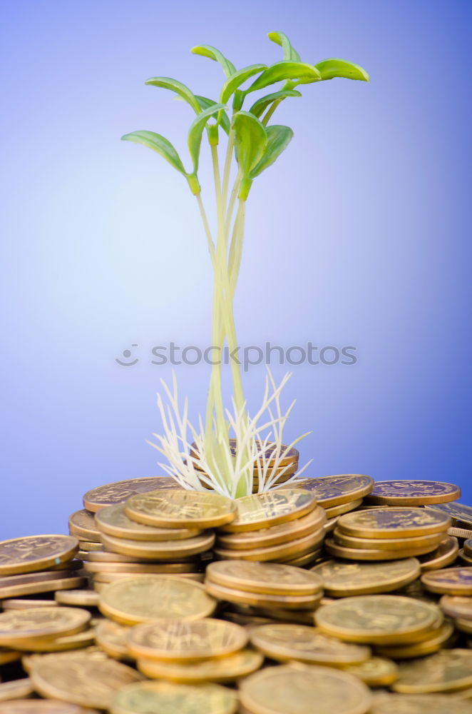 Similar – Image, Stock Photo Finances under control Art