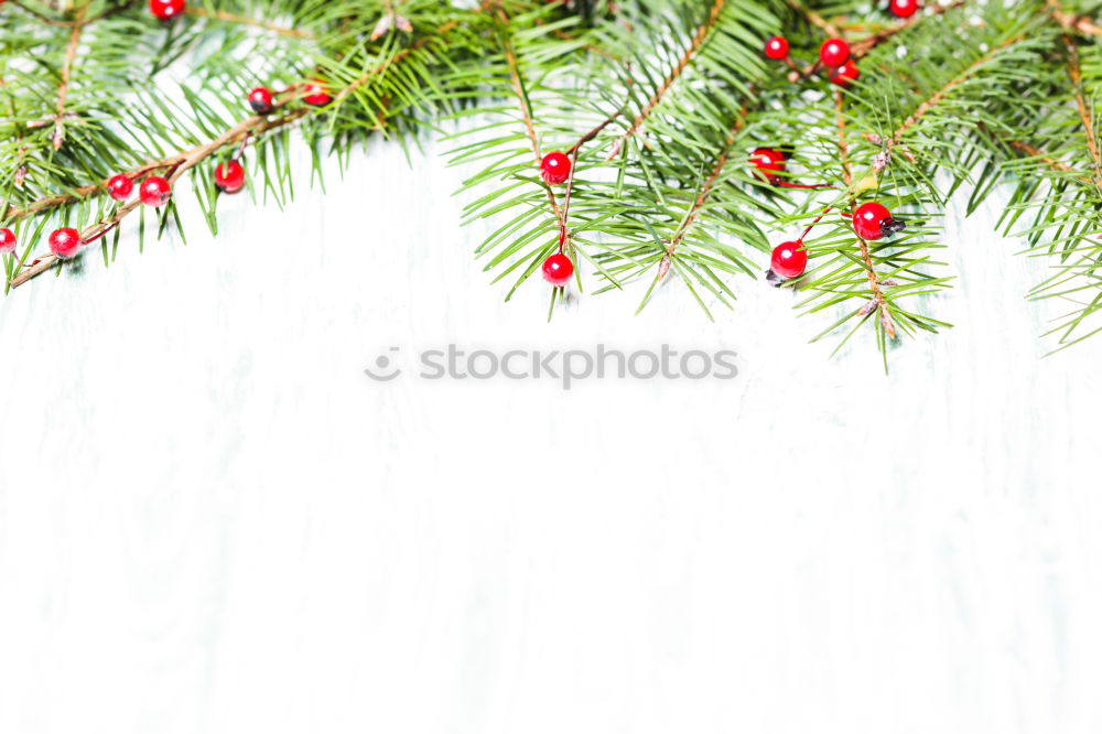 Similar – Image, Stock Photo Christmas is through Tree