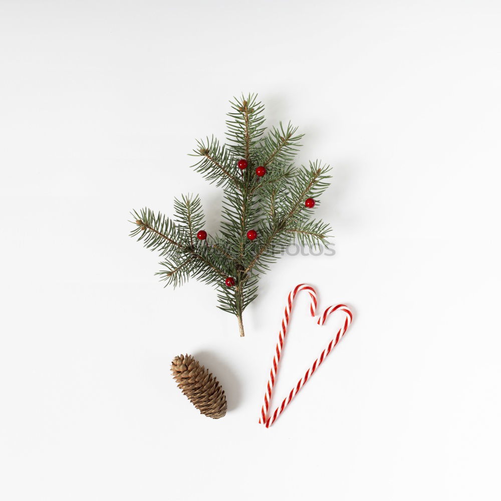 Similar – Image, Stock Photo christmas decoration