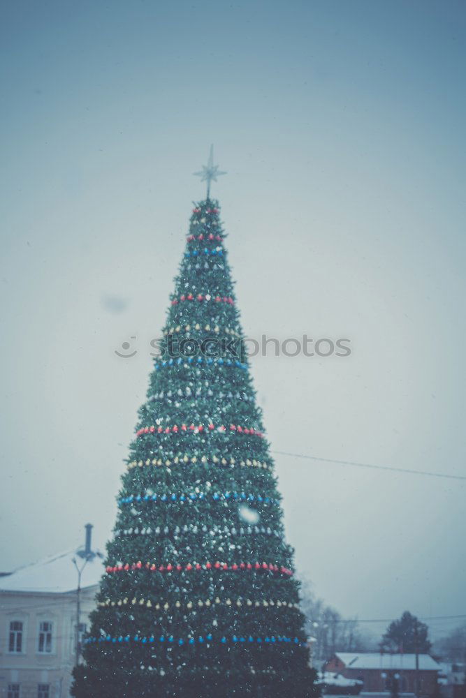 Similar – Image, Stock Photo Kitschy, bizarre, decorated Christmas tree stands between wires, church, lamp and lantern in the city and lights up. Funny, abstract, bright, funny, urban Christmas mood with Christmas tree & light outside in front of blue sky in Advent
