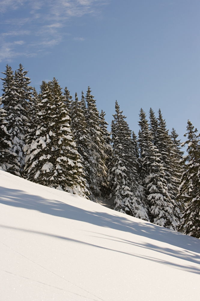 Similar – Image, Stock Photo On the piste Mountain