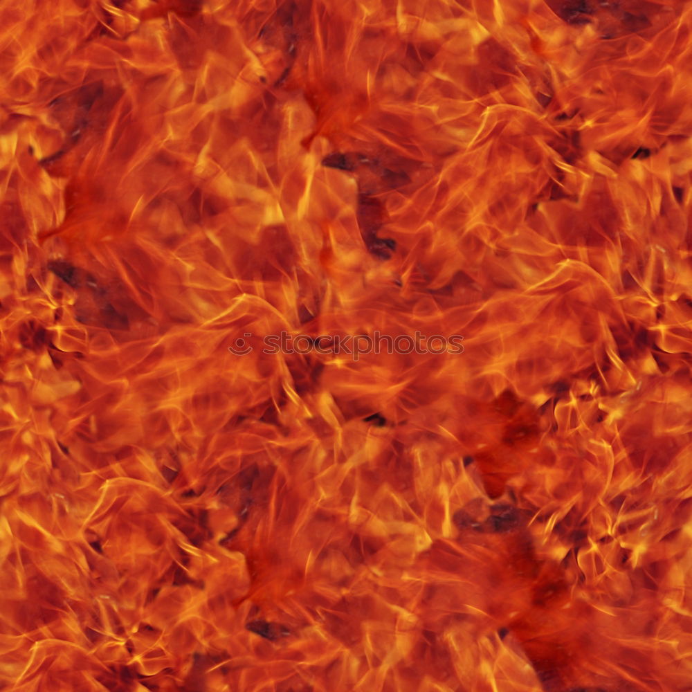 Similar – Image, Stock Photo Forest fire Education