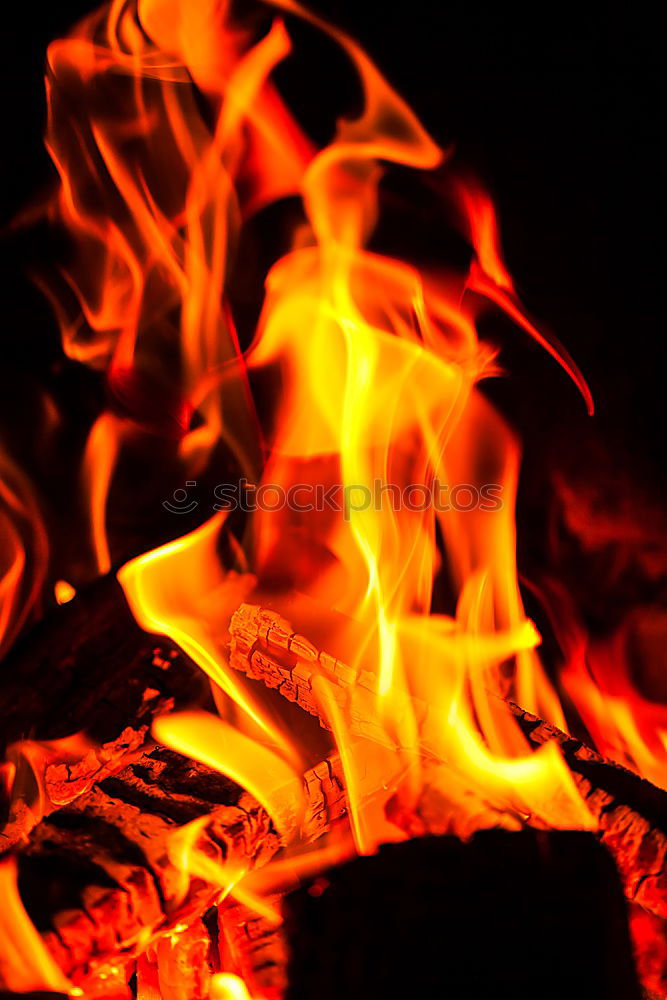 Similar – Image, Stock Photo Forest fire