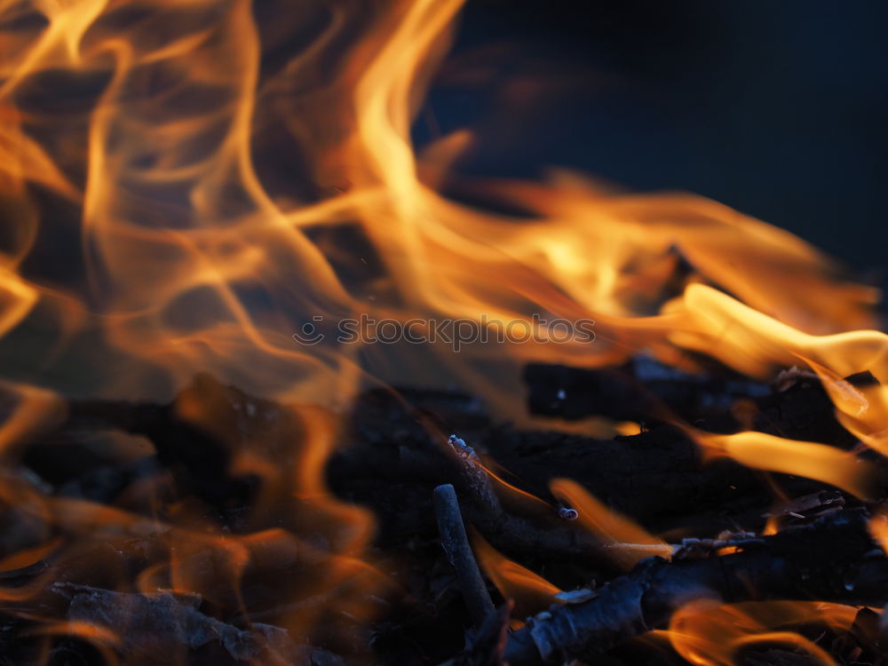 Similar – Image, Stock Photo the yellow one. Fire