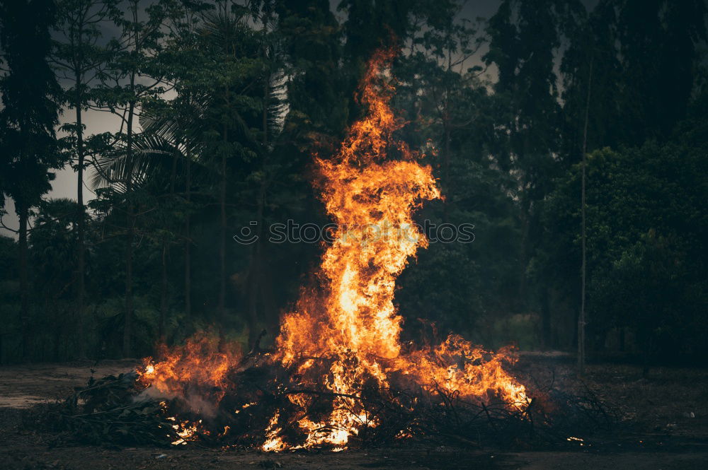 Similar – Man lights a fire in the fireplace