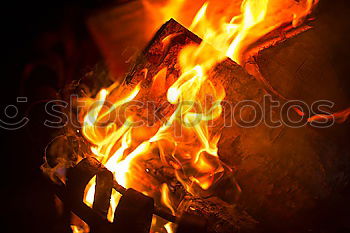 Similar – Image, Stock Photo Forest fire