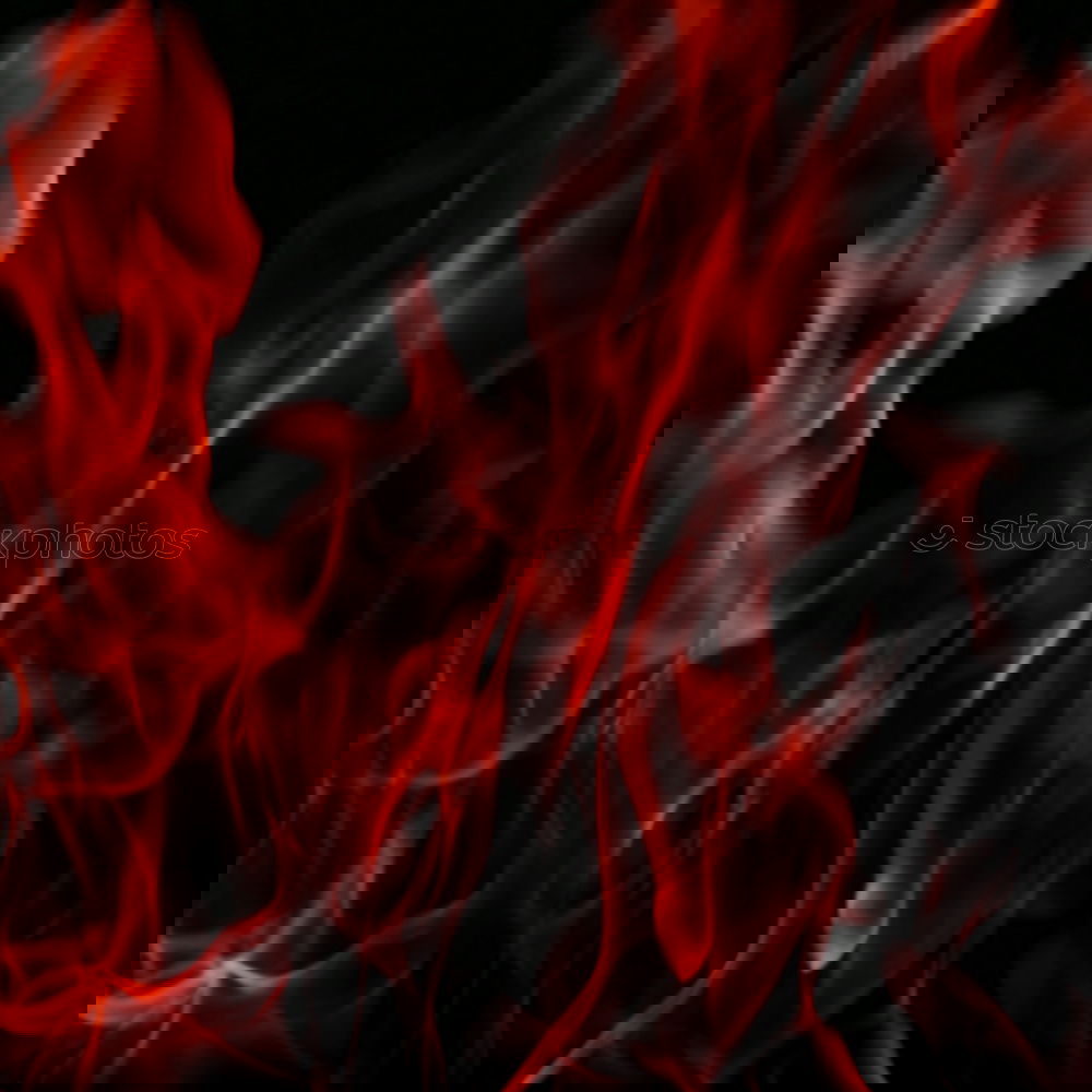 Similar – Image, Stock Photo autumn fire Autumn Leaf