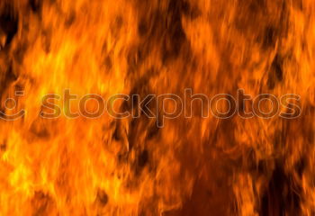 Similar – Image, Stock Photo Forest fire Education