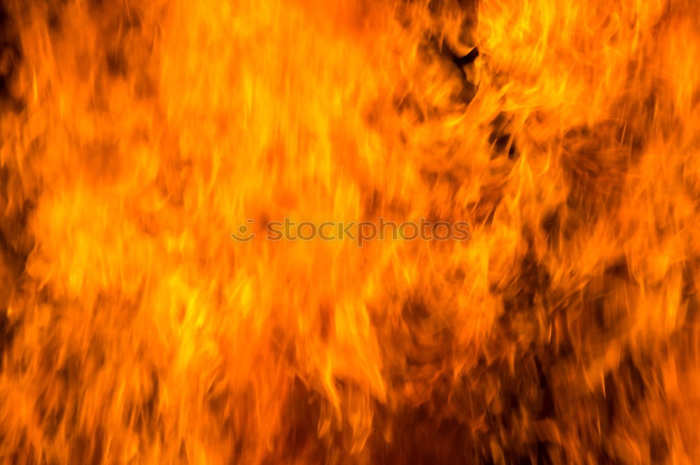 Similar – Image, Stock Photo Forest fire Education