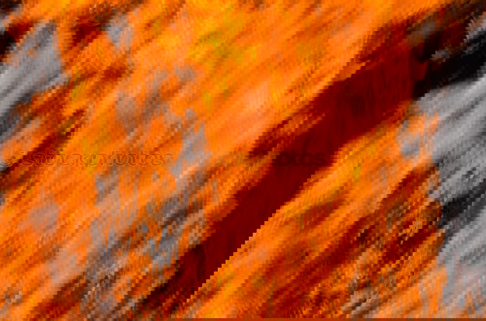 Similar – Image, Stock Photo Forest fire Agriculture