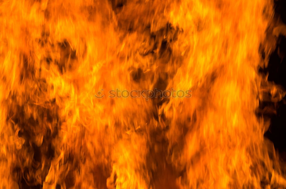 Similar – Image, Stock Photo Forest fire Education