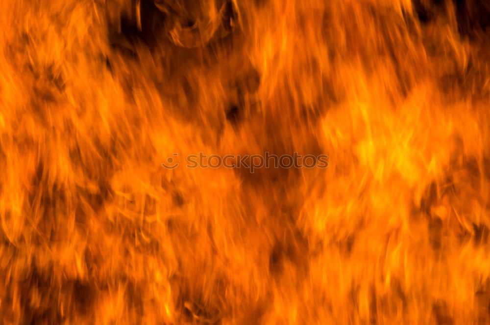 Image, Stock Photo Forest fire Education